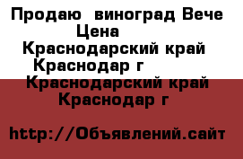 Продаю  виноград Вече › Цена ­ 200 - Краснодарский край, Краснодар г.  »    . Краснодарский край,Краснодар г.